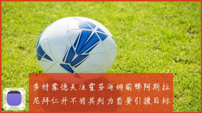 多特蒙德关注霍芬海姆前锋阿斯拉尼拜仁并不将其列为首要引援目标