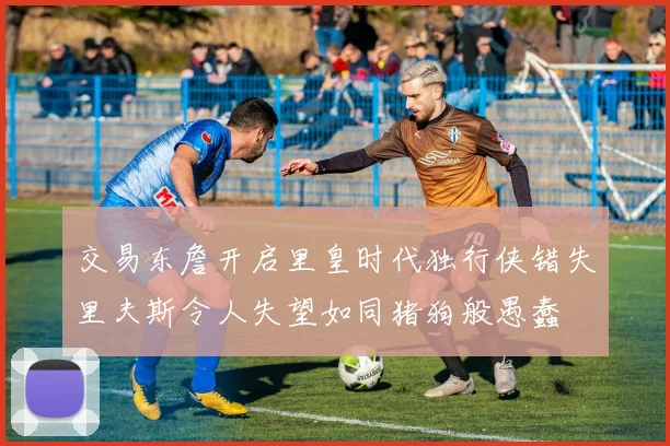 交易东詹开启里皇时代独行侠错失里夫斯令人失望如同猪狗般愚蠢