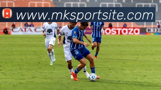 MK体育平台生态图