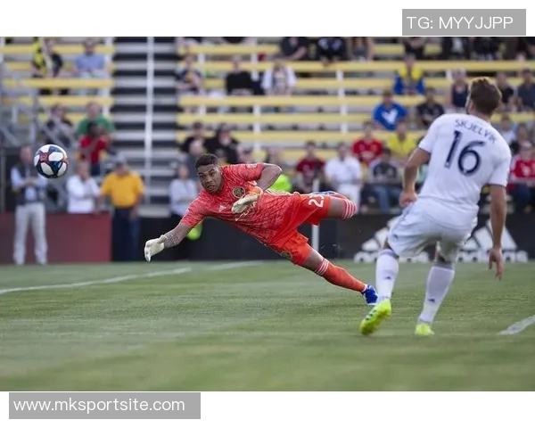 英媒分析纽卡斯尔主场创收困境或将持续至2026年